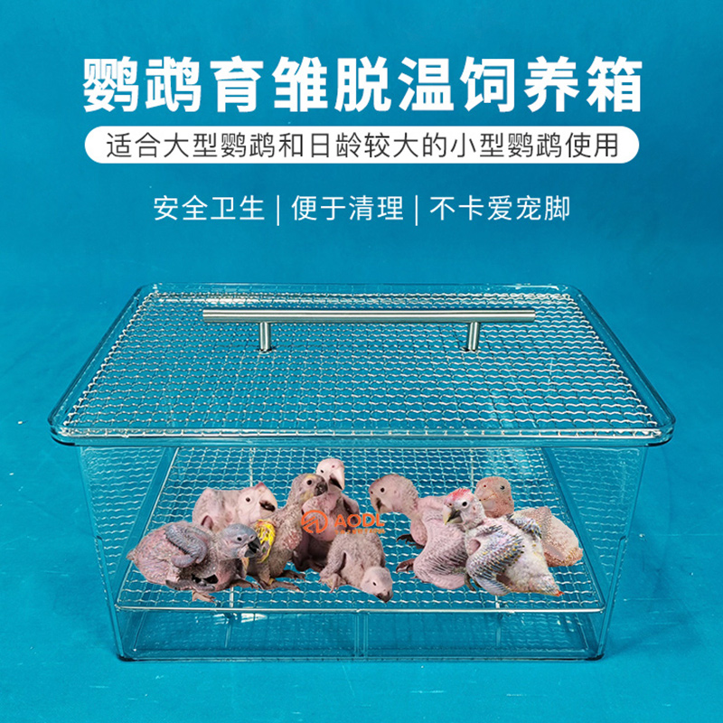 保温箱专用育雏盒