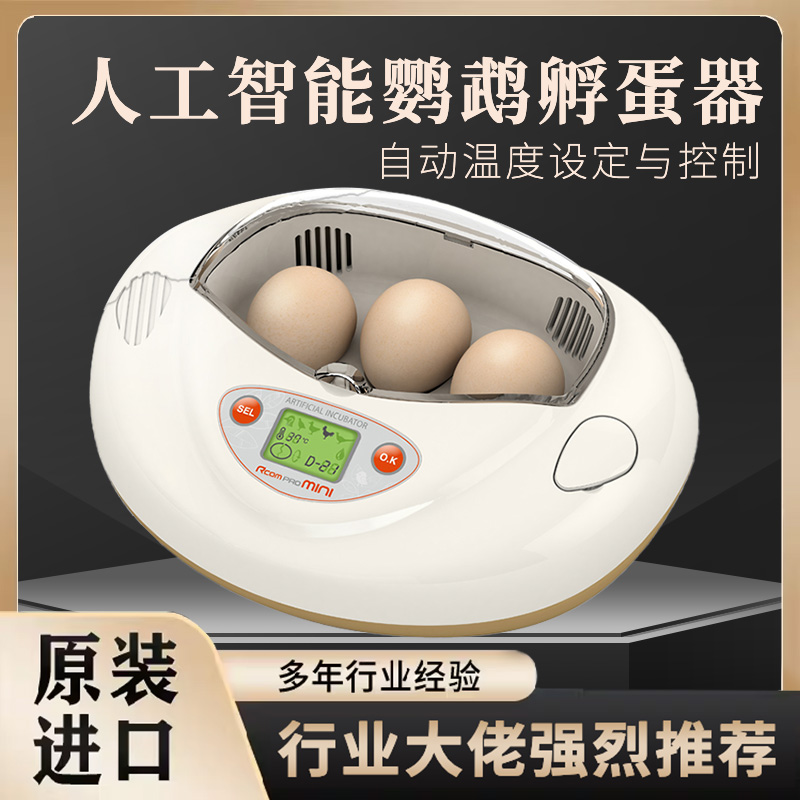 MINI孵化器 韩国原装进口