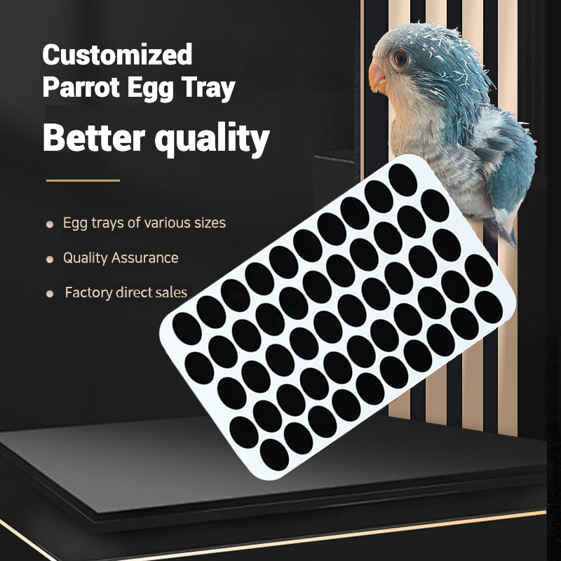 孵化器专用蛋盘