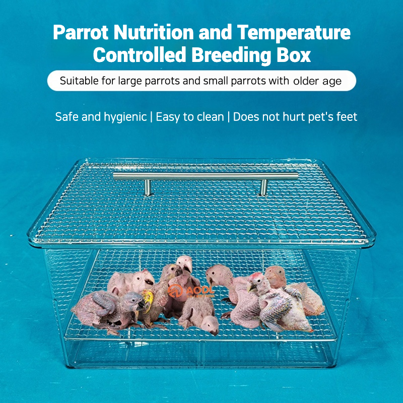 Special brooder box for incubators