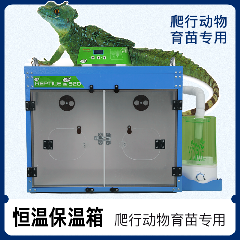 爬行动物专用孵化育苗保温箱