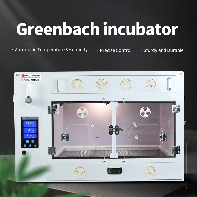 Greenbach incubator